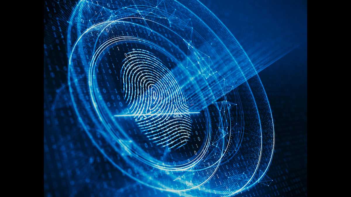 Gestión de identidad