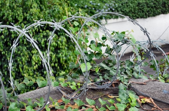 Concertina camuflada con jardinería