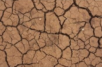 Impacto medioambiental