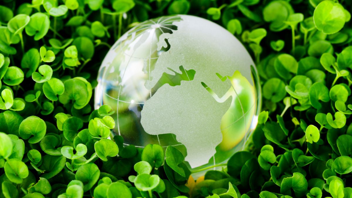 metas globales de sostenibilidad