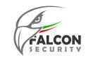 FALCON SECURITY LTDA COLOMBIA