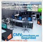 CMV CONSULTORES EN SEGURIDAD®
