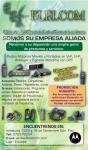 20120731123719_elelcom2011.JPG.jpeg