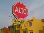 20120731170307_DSC00009.JPG.jpeg
