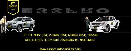 20161111210033_ESSPRO_2016_ALMA.png.jpeg