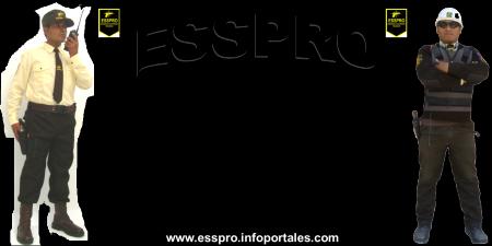 20161207080113_ALMANAQUE_2015_ESSPRO.png.jpeg