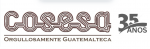6807eb1e54814_logocosesa35.png.png